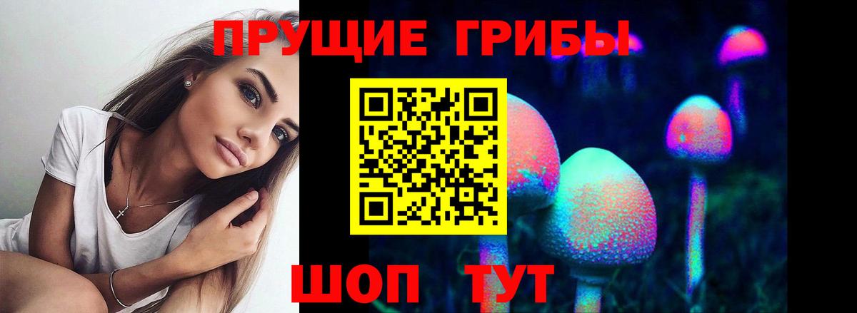 Будённовск  Псилоцибиновые грибы MAGIC MUSHROOMS  Вход с VPN 